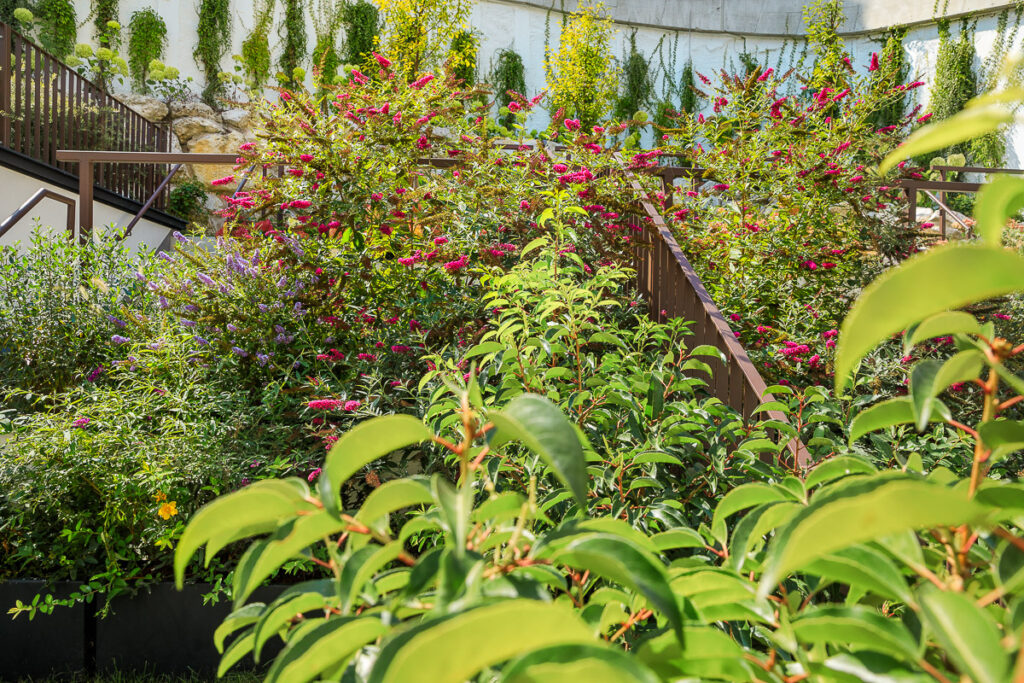 Titelbild Ulreich Bauträger